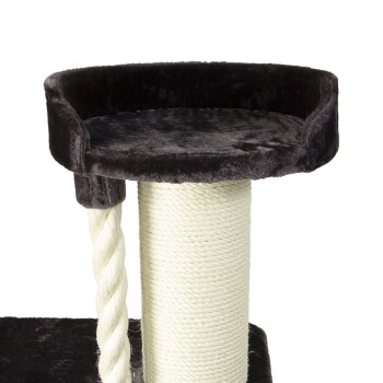 Schwarzer Katzenbaum mit einem plüschigen oberen Platz und einem mit Sisal umwickelten Kratzbaum.