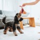 Hundespielzeug Rio 26 cm