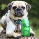 Ein Mops sitzt auf einem Baumstamm, neben einer grünen Flasche mit dem Etikett 'SMOOTHIEDog Lamm', die 'Der SNACK für jeden Hund' liest und natürliche Zutaten hervorhebt.