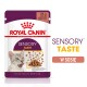 Torebka z karmą dla kotów Royal Canin Sensory Taste, z twarzą szarego kota, kawałkami w sosie, 85g, z napisami "SENSORY TASTE" i "W SOSIE."