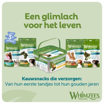 Verpakking en bus Whimzees hondentandkauws met Nederlandse tekst 'Een glimlach voor het leven' en 'Kauwsnacks die verzorgen'