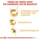 Bild zur Förderung der Hundenahrung: "Geben Sie Ihrem Hund die Nahrung, die er braucht." Hebt die Unterstützung der Knochen, den Muskeltonus und den Appetit hervor.