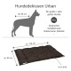 Schwarzes Hundebett für große Hunde, mit den Maßen von etwa 100 cm mal 80 cm und 9 cm dick, geeignet für Rassen wie Deutsche Schäferhunde und Dobermänner.