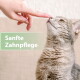 Graue getigerte Katze, die an einem menschlichen Finger schnuppert; grüner Textüberzug: 'Sanfte Zahnpflege'.