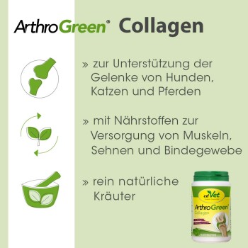 ArthroGreen Collagen 130 g