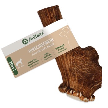Großer Highland-Hirschgeweih-Kauartikel für Hunde, gekennzeichnet als 100% natürlich, geeignet für Hunde von 20-30 kg, unterstützt die Zahnpflege.