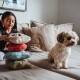 Ein Kind stapelt bunte plüschige Haustierspielzeuge auf einer Couch, während ein kleiner Hund neben ihnen sitzt und neugierig auf die Spielzeuge schaut.