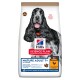 Science Plan No Grain Mature Adult 7+ mit Huhn ohne Getreide 14 kg