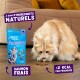 Chat crème à poils longs mangeant des friandises à côté d'un sac de friandises bleu ; texte visible : « SAUMON FRAIS » et « <2 KCAL PAR FRIANDISE »