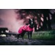 Ein schwarz-grauer Hund trägt einen leuchtend pinken Regenmantel und steht auf einem Kopfsteinpflasterweg, mit einem verschwommenen Hintergrund von Bäumen und einem Sonnenuntergang.