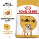 Royal Canin Bulldog Adult Hundefutterbeutel mit einer Bulldoggen-Illustration, mit Text, der die Ernährungsbedürfnisse der Rasse und die reduzierte Stuhlgeruch hervorhebt.