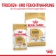 Royal Canin Labrador Retriever Hundefutterverpackung, die einen 140 g Nassfutterbeutel und eine Trockenfuttertüte zeigt, mit Text, der optimale Ernährung bewirbt.