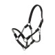 Schwarzes und silbernes Haustiergeschirr mit gepolsterten Riemen und Metallclips, entworfen für Komfort und Kontrolle während der Spaziergänge.