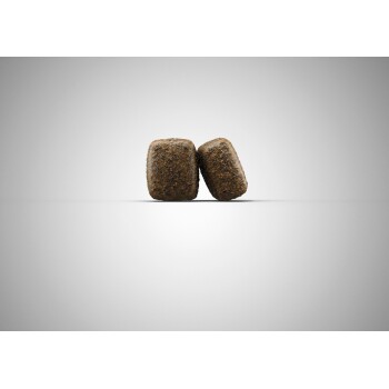 Zwei braune Haustierfutterkibble-Stücke, die sich auf einem schlichten grauen Hintergrund aneinander lehnen.