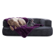 Ein großer hellbrauner Hund und ein kleiner schwarzer Pudel ruhen auf einer dunkelgrauen Couch, die mit einer lila Decke bedeckt ist.