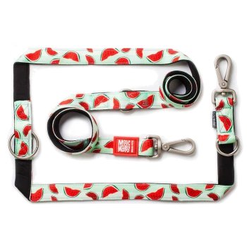 Haustierleine- und Halsband-Set mit Wassermelonenmuster, Metallclips und Anhängern mit der Aufschrift "Max & Molly Urban Pets".
