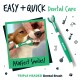 Hund, dem mit einer grünen dreiköpfigen Zahnbürste die Zähne geputzt werden, Text „Easy + Quick Dental Care“ und „PAWfect Smiles!“
