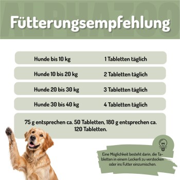 Team des Tiergeschäfts mit Hunden, mit dem Text "ES WIRD ERNST. LERN UNS KENNEN" über nachhaltige, liebevoll hergestellte deutsche Haustierprodukte.