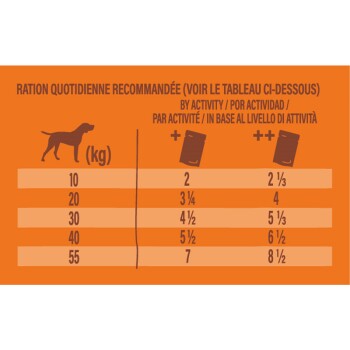 Guide d'alimentation quotidienne pour chiens par poids en kg, montrant les quantités recommandées en boîtes en fonction du niveau d'activité.