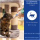 Eine flauschige getigerte Katze leckt an einer Tube, die von einer Person gehalten wird, mit einem Kratzbaum im Hintergrund. Der nahegelegene Text zeigt Dosierungs- und Lagerinformationen.