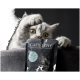 Eine verspielte graue Katze mit großen Augen greift nach einem Paket mit der Aufschrift "CAT'S LOVE", das das Gesicht einer Katze zeigt, mit Text, der angibt, dass es sich um ein fischbasiertes Futter handelt.