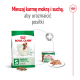 Opakowanie karmy dla psów Royal Canin pokazuje małego psa, torbę oznaczoną "S mini adult" oraz puszkę mokrej karmy na różnorodne posiłki.