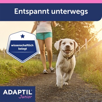 Labradorwelpe läuft auf einem Weg auf die Kamera zu; sichtbarer Text: 'Entspannt unterwegs', 'wissenschaftlich belegt', ADAPTIL Junior