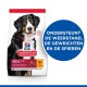 Hondenvoerzak met een Berner Sennenhond, gelabeld 'Hill's Science Plan', met tekst die ondersteuning voor immuniteit, gewrichten en spieren benadrukt.