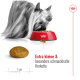 Ein Yorkshire Terrier frisst aus einer roten Schüssel mit Trockenfutter, mit einer Nahaufnahme von Trockenfutter und Text: "Extra kleine & besonders schmackhafte Krokette."