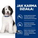 Puszysty czarno-biały pies uśmiecha się po lewej, z polskim tekstem po prawej szczegółowo opisującym korzyści karmy dla psów dla zdrowia układu moczowego.