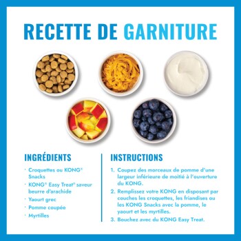 Affiche 'RECETTE DE GARNITURE' : cinq bols (croquettes, beurre de cacahuète, yaourt, pomme, myrtilles) ; étiquettes INGRÉDIENTS/INSTRUCTIONS