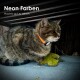 Eine getigerte Katze mit einem orangefarbenen Halsband sitzt auf einem Stein neben einem gelben Blatt, mit dem Text "Neon Farben" und "Nachts gut zu sehen."