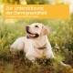 Ein glücklicher gelber Labrador auf grünem Gras mit Textüberlagerung: "Zur Unterstützung der Darmgesundheit" und "To support intestinal health."