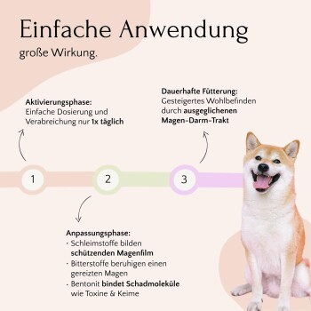 Infografik, die einen dreiphasigen Fütterungsplan für Haustiere detailliert, mit Betonung auf einfacher Anwendung, täglicher Dosierung und Vorteilen für die Verdauungsgesundheit.
