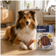 Collie avec des bâtonnets à mâcher à côté d'un sachet de friandises portant l'inscription « PREMIERE I ♥ my dog », « Fun Snack Sandwich », 150 g.