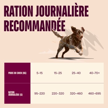 Illustration d'un chien brun courant avec en-tête français 'RATION JOURNALIÈRE RECOMMANDÉE' et tableau d'alimentation indiquant les poids 5–70 kg et rations 95–695 g