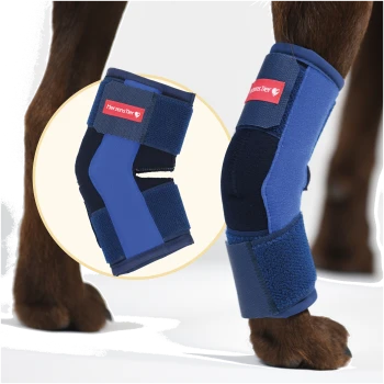 Blauer schützender Beinverband mit Klettverschlüssen, beschriftet mit "HerzensTier" am Vorderbein eines Hundes.