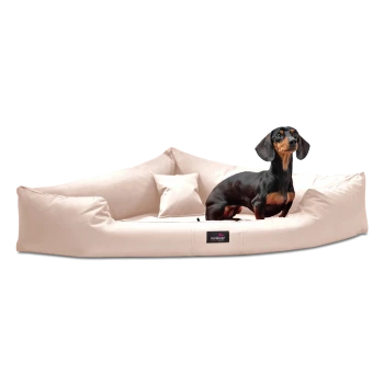 Ein schwarzer und brauner Dackel sitzt auf einem plüschigen, beigen Hundebett mit erhöhten Rändern und einem kleinen Kissen, mit einem Logosticker.
