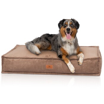 Hundekissen Lesedi aus Cord mit Handwebcharakter braun XL