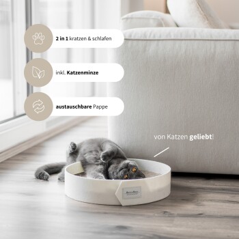 Eine verspielte graue Katze entspannt sich in einem runden Bett, mit "2 in 1 kratzen & schlafen," "inkl. Katzenminze," und "austauschbare Pappe."