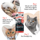 Bugalugs Floh- & Zecken-Shampoo für Katzen: Flasche mit Cartoon-Katze. Anwendung: einweichen, auftragen, massieren, ausspülen und trocknen.