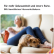 Beruhigende Haustiersnacks mit einem entspannten Französischen Bulldoggen und einer Person, die mit zwei Hunden meditiert. Text: 'fördert Ruhe,' 'reduziert Stress,' 'natürliche Kräuter.'