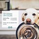 Nahaufnahme eines Hundes mit einer Metallschüssel im Mund, neben einem Textfeld mit Fütterungsempfehlungen für Hunde und Katzen.