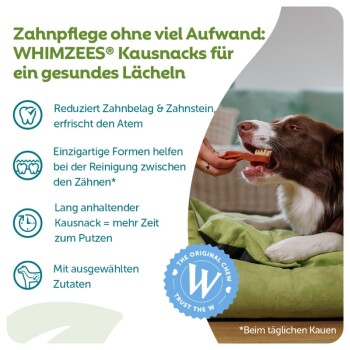 Hund auf grünem Bett wird mit einem WHIMZEES zahnbürstenförmigen Zahnpflegesnack gefüttert; deutsche Überschrift 'Zahnpflege ohne viel Aufwand'