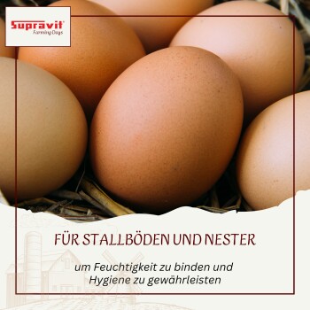 Nahaufnahme brauner Eier im Stroh mit Supravit Farming Days-Logo und deutscher Überschrift „FÜR STALLBÖDEN UND NESTER“