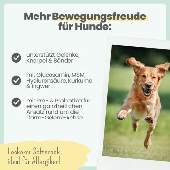 Anzeige mit der Überschrift 'Mehr Bewegungsfreude für Hunde:' und einem springenden Golden Retriever, Hinweis auf Gelenkunterstützung; Text 'Leckerer Softsnack'.