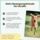 Anzeige mit der Überschrift 'Mehr Bewegungsfreude für Hunde:' und einem springenden Golden Retriever, Hinweis auf Gelenkunterstützung; Text 'Leckerer Softsnack'.