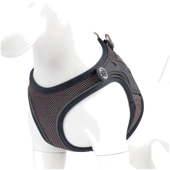 Graues Netz-Hundegeschirr mit schwarzem Rand und Metallringen auf weißer Schaufensterpuppe, „HUGO & HUDSON“-Logo sichtbar.