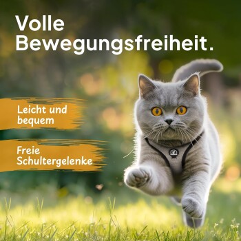 Eine graue Katze mit orangefarbenen Augen in einem Geschirr läuft durch das Gras, mit Text: "Volle Bewegungsfreiheit," "Leicht und bequem," "Freie Schultergelenke."