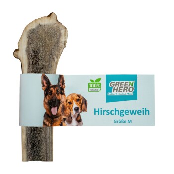 Hirschgeweih Kaustange M